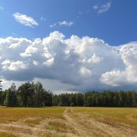 Пейзаж с облаками. :: nadyasilyuk Вознюк
