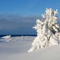 Байкальская зима :: Татьяна Дубровина