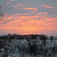 Восход в декабре :: Вера Андреева