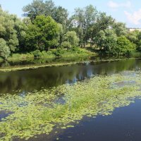 Полтава, река Ворскла. :: sav-al-v Савченко