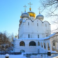 Новодевичий монастырь :: Константин Анисимов