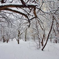 Присыпал снежком декабрь :: Наталья Лакомова