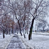 Снежными алееями :: Наталья Лакомова