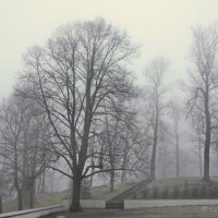Туман :: Liudmila LLF