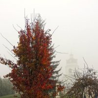 В тумане :: Роман Савоцкий