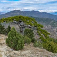 В Крымских горах :: Павел © Смирнов