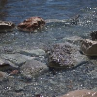 Кристально чистые воды озера Гарда, до свиданья! :: Лира Цафф