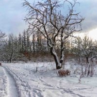 зимний пейзаж :: юрий иванов