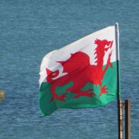 Флаг Уэльса :: Natalia Harries