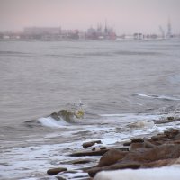 Мое Белое море. Декабрь 2018 :: Елена Третьякова