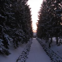 В зимнем парке :: Наталья Герасимова