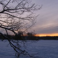Зимний закат :: Наталья Герасимова