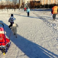 Вот это скорость! Вот это радость! :: Татьяна Помогалова