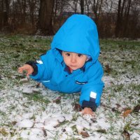 Toni....Первое знакомство со снегом... :: Galina Dzubina