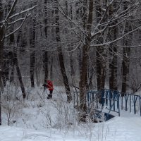 Коллега, но очень сильно "вооруженный" (по сравнению со мной) :: Андрей Лукьянов