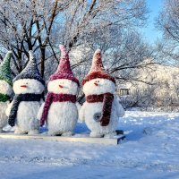 Снеговики на подиуме...:) :: Анатолий Колосов