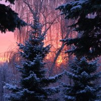 Зимний пейзаж :: Наталья Тагирова