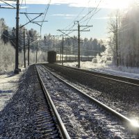 Хвост :: Роман Пацкевич