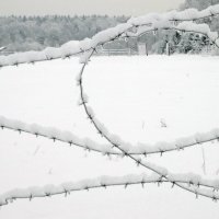 Зима :: Алла Захарова