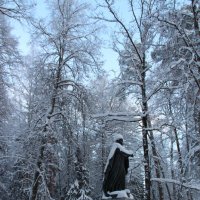 Зимний Павловск :: Наталья Герасимова