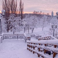 Снежное утро :: Сергей Тарабара