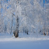 Зауральская зима :: Светлана Медведева 