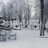 Зимний сад :: Милешкин Владимир Алексеевич 