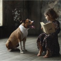 "Поведение собаки" или "Книга о воспитании" :: Виктория Иванова