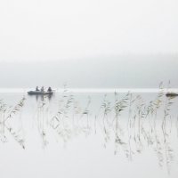 Рыбаки в тумане. :: Alexandr Gunin