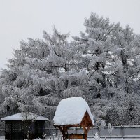 Зима на даче :-) :: Nikita Volkov