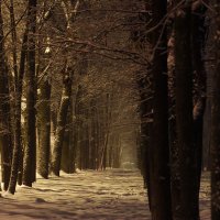 туманная ночь :: Геннадий Свистов