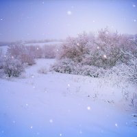 Снегопад :: Проніна Олена 