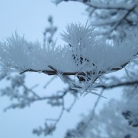 Красоты зимы :: Алексей Кузнецов