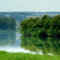 Пейзаж с водой. :: nadyasilyuk Вознюк