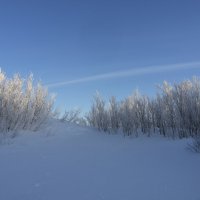 Северодвинск: много зимы и мало лета :: Владимир Шибинский