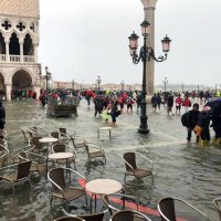 Прогулки по Венеции :: Елена 