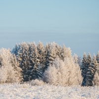 На севере дальнем.... :: Сергей Стреляный