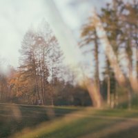 Осень. :: Андрий Майковский