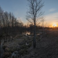 весенняя речка :: Алексей Клименко