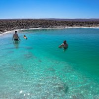 Мёртвое море по-чилийски... :: Владимир Жданов