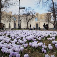 Весна в Москве :: Евгений Седов