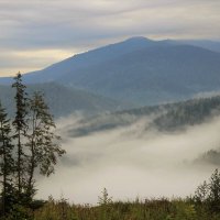 В долине утром туман :: Сергей Чиняев 
