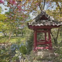 Японский сад в Леверкузене :: Alexander Andronik