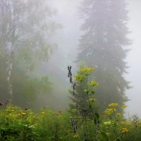 Утро с туманом :: Сергей Чиняев 
