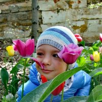 Затаившись в тюльпанах :: Регина Орехова