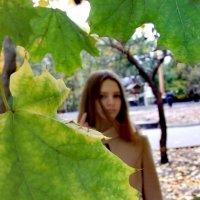 Зелёная осень :: Регина Орехова