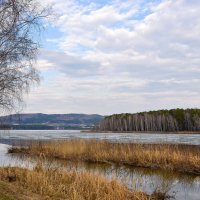 В апреле :: Владимир Звягин