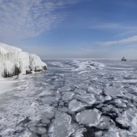 Молодой лёд :: Николай Капранов 