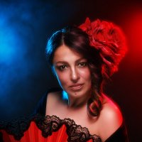 Flamenco :: Aнатолий Бурденюк