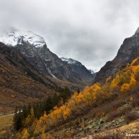 Махарское ущелье :: Александр Богатырёв